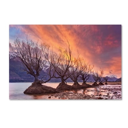 Yan Zhang 'Glenorchy On Fire' Canvas Art,12x19